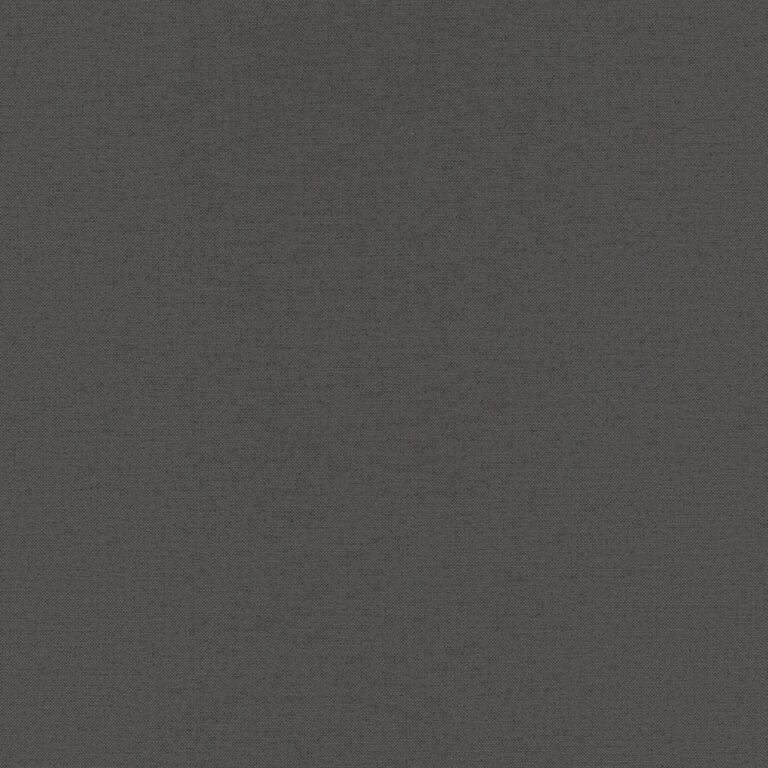 Indra - 295695
