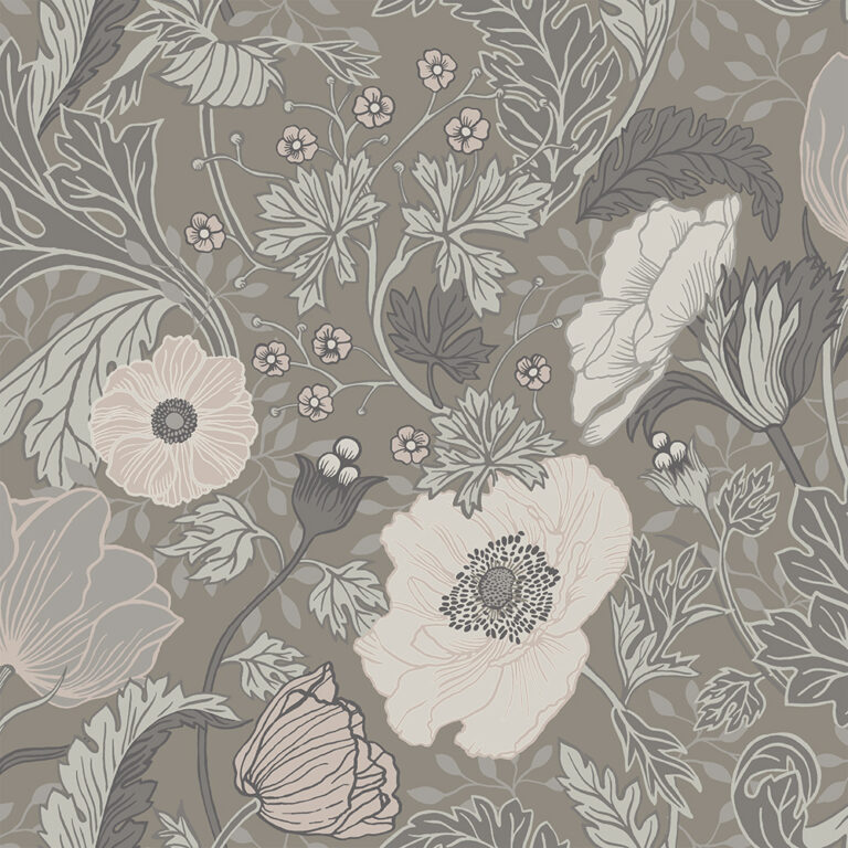 Anemone
