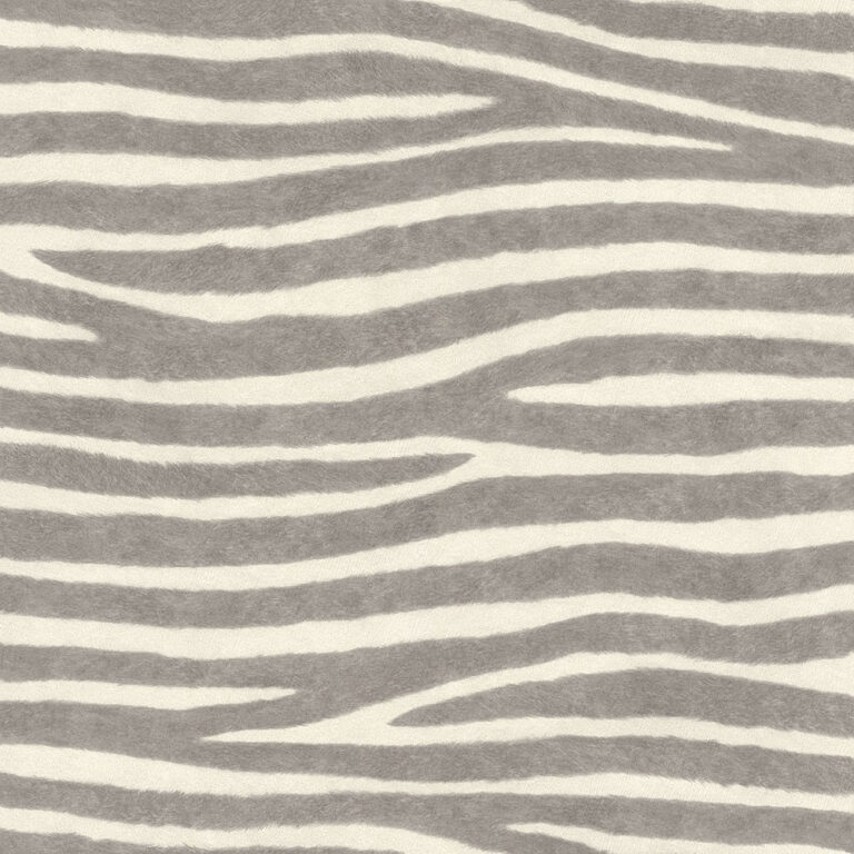 Serengeti - 751734