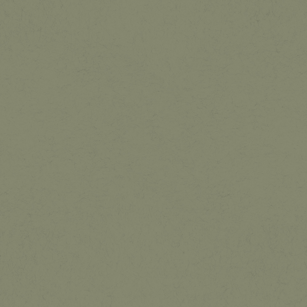 Forest Color