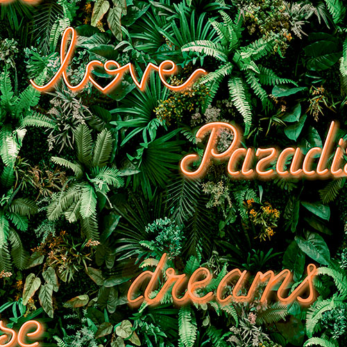 Paradise Neon