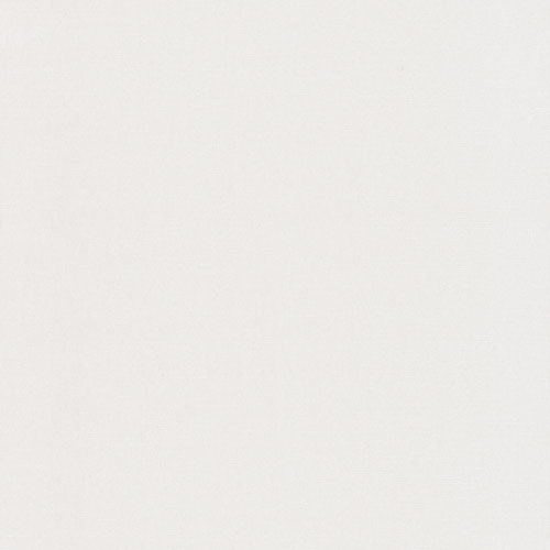 White, Beige Wallpaper with a Solid-Color Pattern