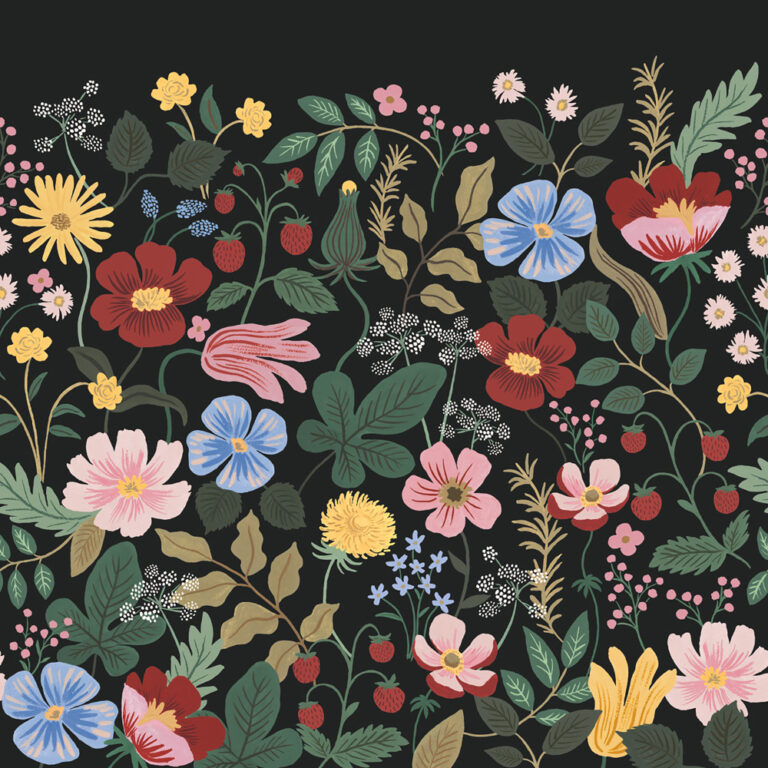 Black, Multicolored Wallpaper with Floral, Photo Wallpaper Patterns
