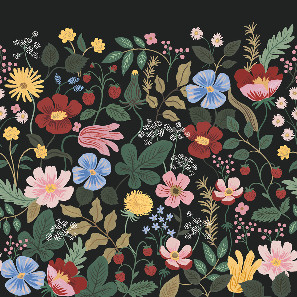 Svart, Multifärgat tapet med Blommigt, Fototapet mönster
