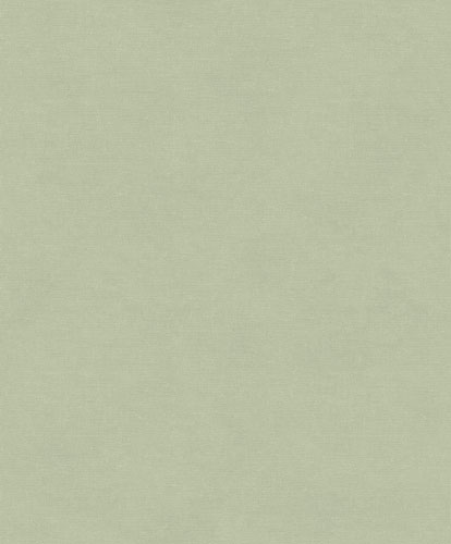 Green wallpaper with a solid-color, linen pattern