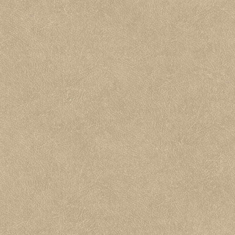 Leather Plain