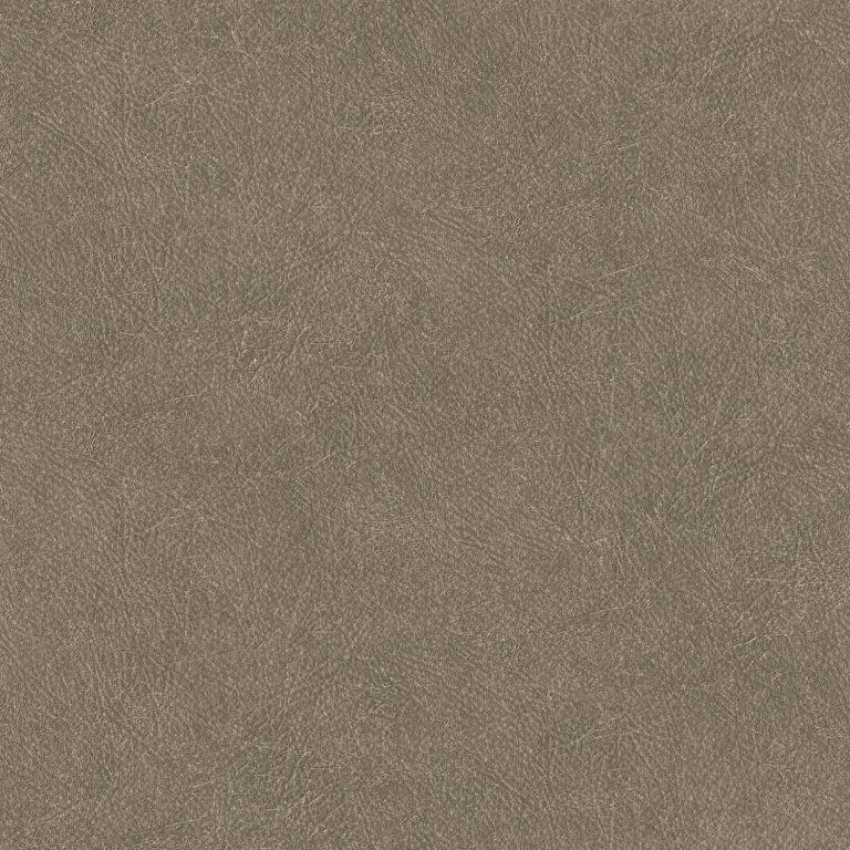 Leather Plain